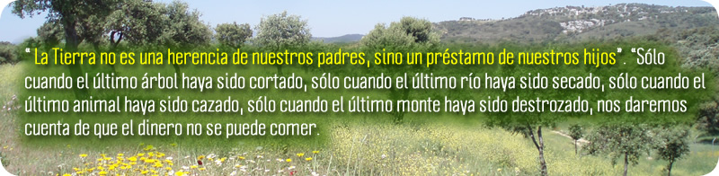 herencia de nuestros hijos