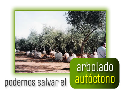 salvar el arbolado